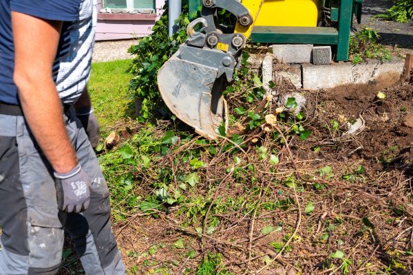 Hedge Removal Service in Los Gatos