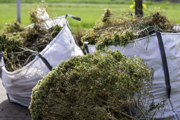 Shrubs Removal in Los Gatos