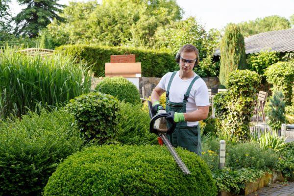 Shrubs Trimming in Los Gatos